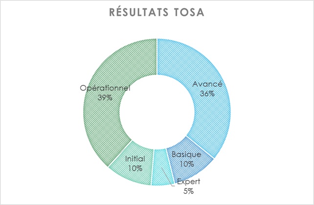 R&eacute;partition des r&eacute;sultats &agrave; la certification Tosa en 2020